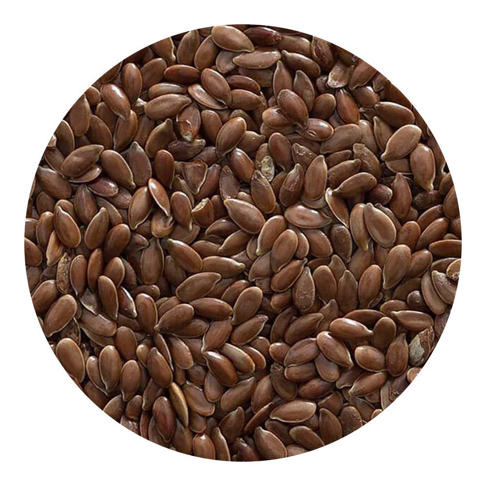 Oil Flax
